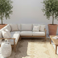 Light Brown Ivory Tribal Indoor Outdoor Rug