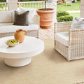 Brown Ivory Indoor Outdoor Area Rug