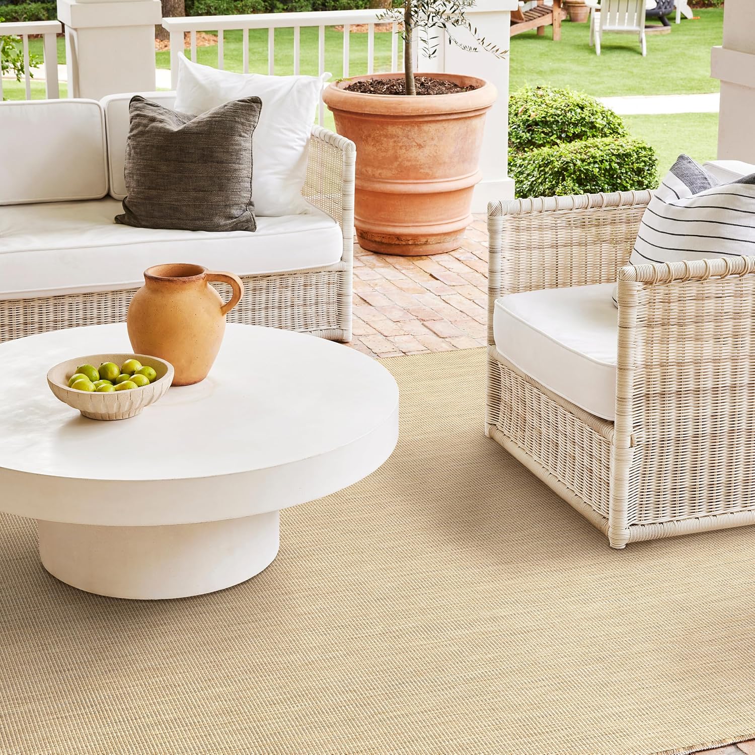 Brown Ivory Indoor Outdoor Area Rug